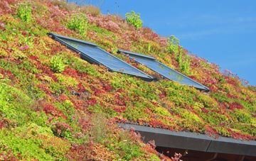 Walsgrave On Sowe living roof systems