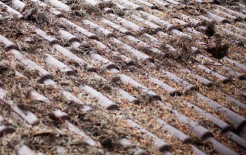 Walsgrave On Sowe roof cleaning companies